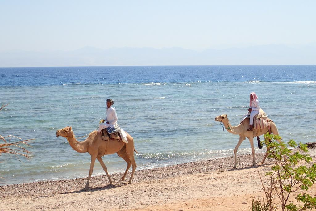 Bedouin Star Hotel Taba Luaran gambar