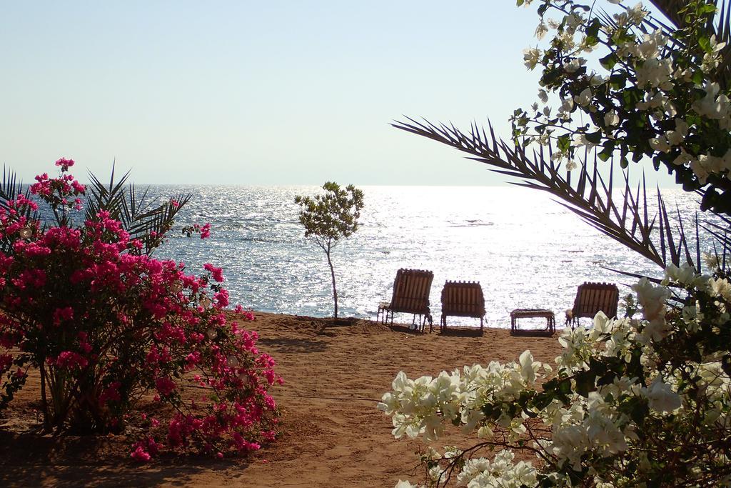 Bedouin Star Hotel Taba Luaran gambar