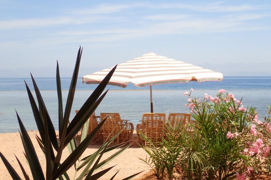Bedouin Star Hotel Taba Luaran gambar
