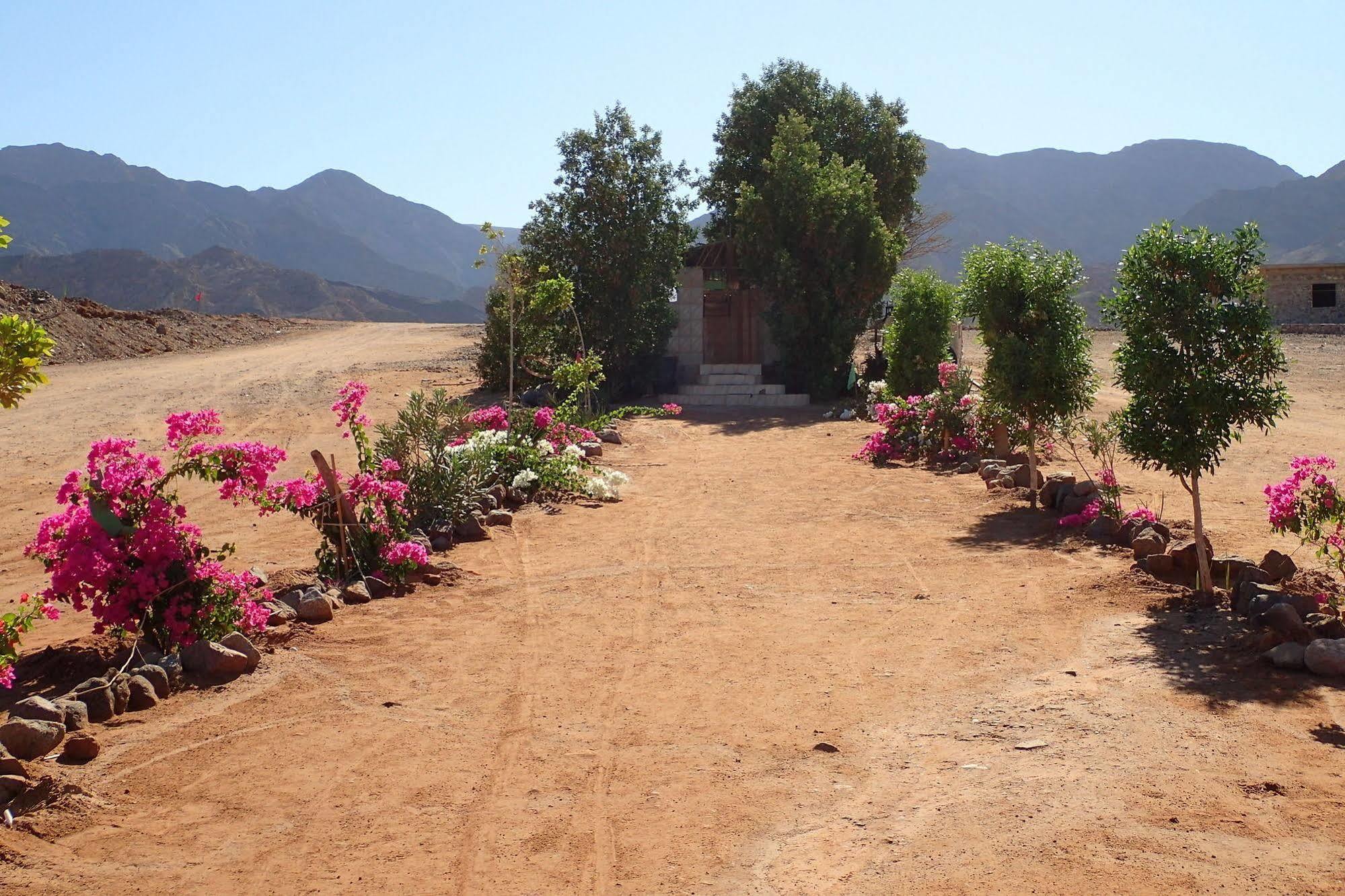 Bedouin Star Hotel Taba Luaran gambar